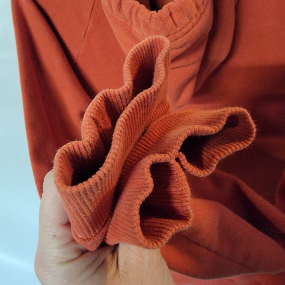 Under Armour Men's Bold Red Hoodie - Picture 5 of 5
